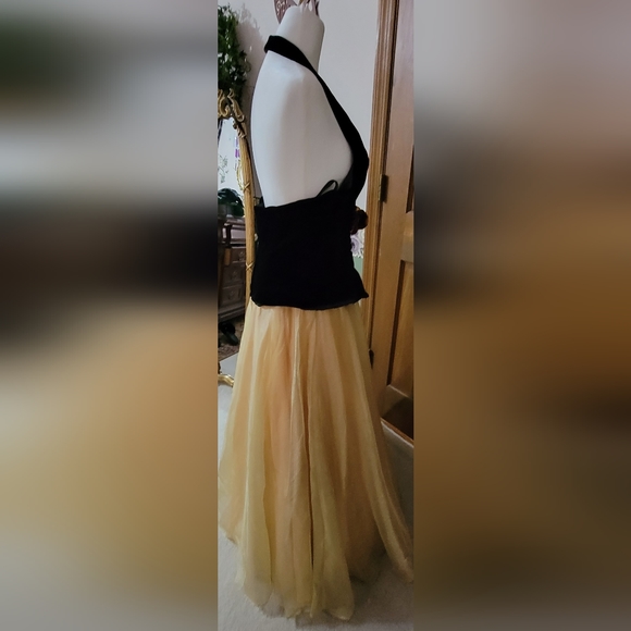 Vintage Ball Gown - Picture 6 of 9